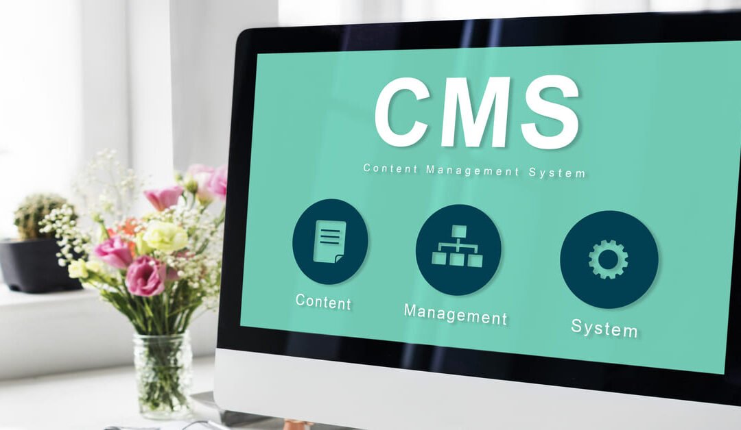 CMS para emprendedores